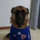 Damian Cuitio A.
