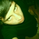 Claudio Chanda