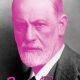 Javier Contreras