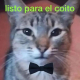 Alejandro Gallardo B.