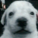 Alonso Becerra F.